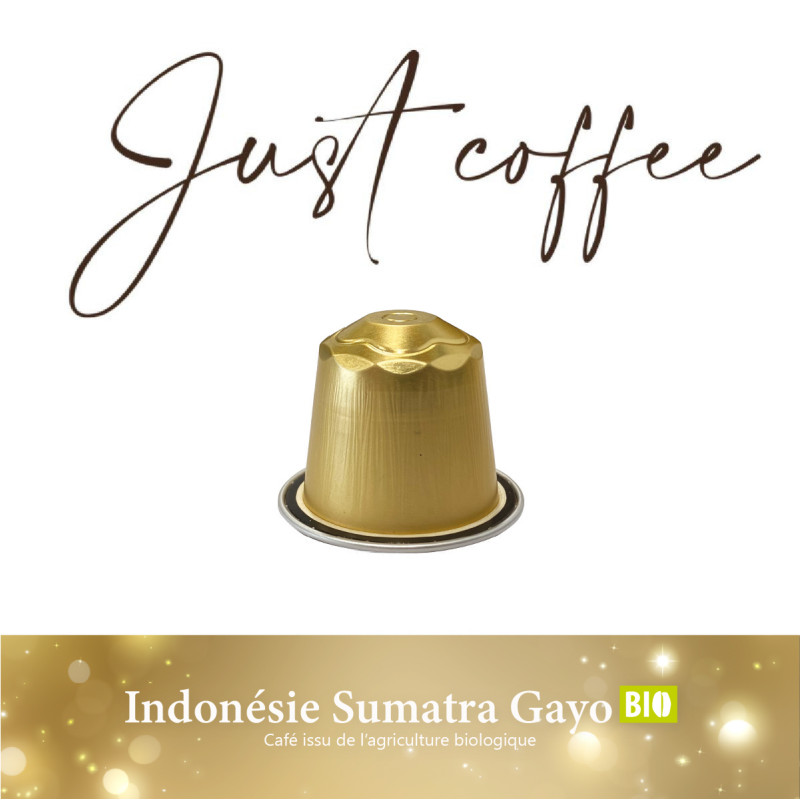 Capsules Indonésie Sumatra Gayo BIO