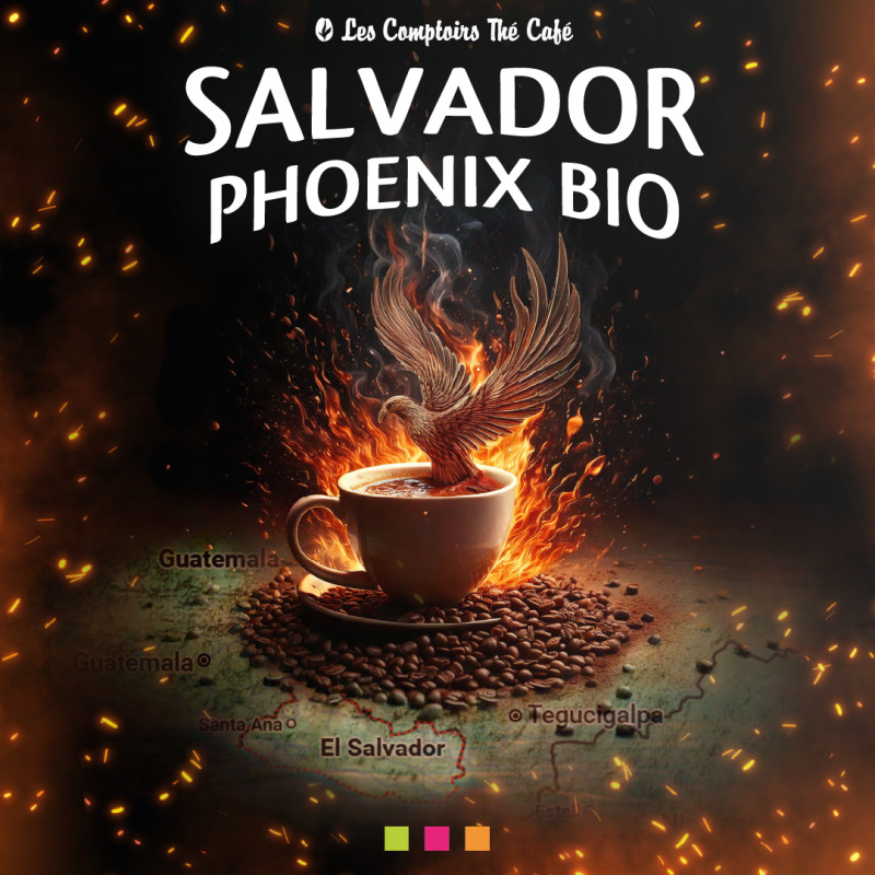 Salvador Phoenix BIO équitable