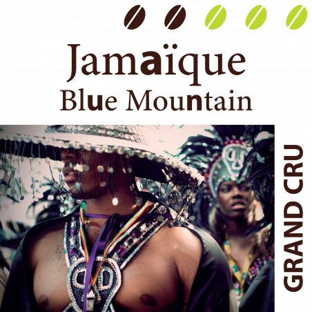 Café Jamaique - Blue Mountain, en grain